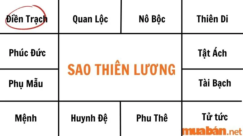 Giải mã sao Thiên Lương về ý nghĩa và tác động tại các cung