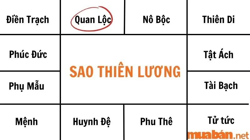 Giải mã sao Thiên Lương về ý nghĩa và tác động tại các cung