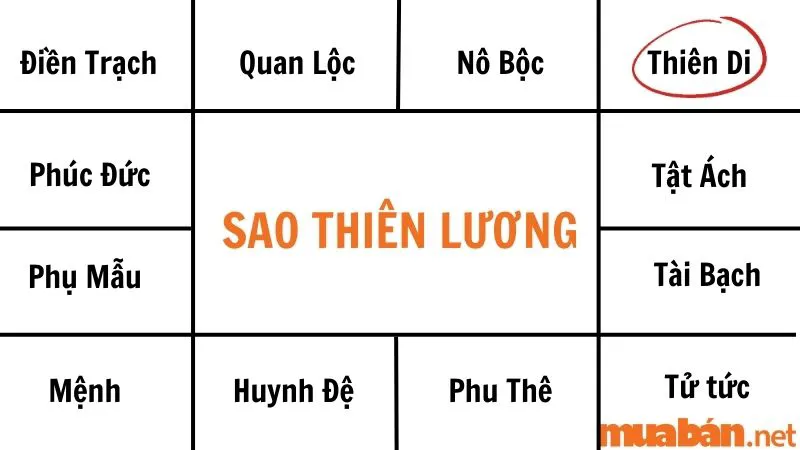 Giải mã sao Thiên Lương về ý nghĩa và tác động tại các cung