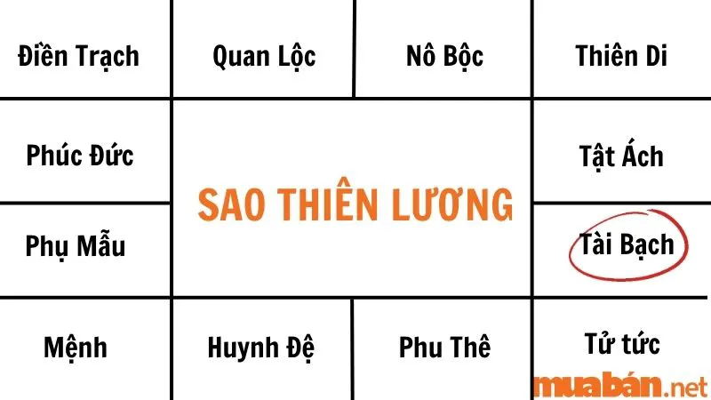 Giải mã sao Thiên Lương về ý nghĩa và tác động tại các cung