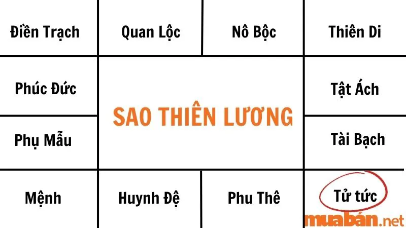 Giải mã sao Thiên Lương về ý nghĩa và tác động tại các cung