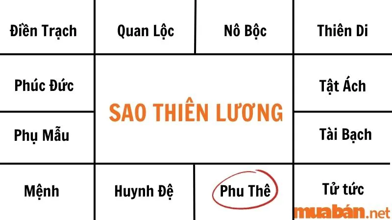 Giải mã sao Thiên Lương về ý nghĩa và tác động tại các cung