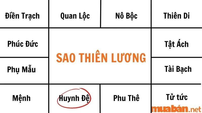 Giải mã sao Thiên Lương về ý nghĩa và tác động tại các cung