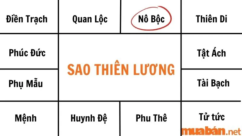 Giải mã sao Thiên Lương về ý nghĩa và tác động tại các cung