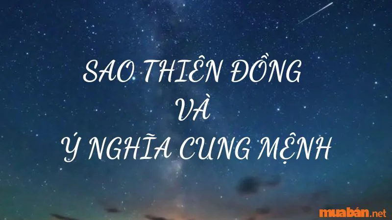 Giải Mã Tử Vi Sao Thiên Đồng và Ý Nghĩa Tại các Cung Mệnh