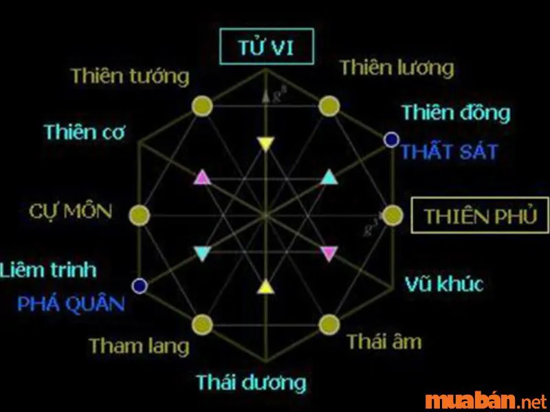 Giải Mã Tử Vi Sao Thiên Đồng và Ý Nghĩa Tại các Cung Mệnh