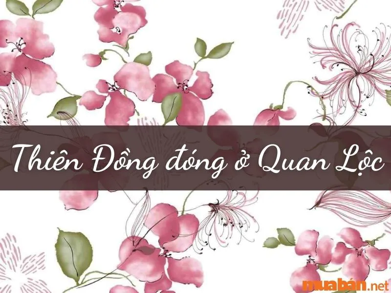 Giải Mã Tử Vi Sao Thiên Đồng và Ý Nghĩa Tại các Cung Mệnh