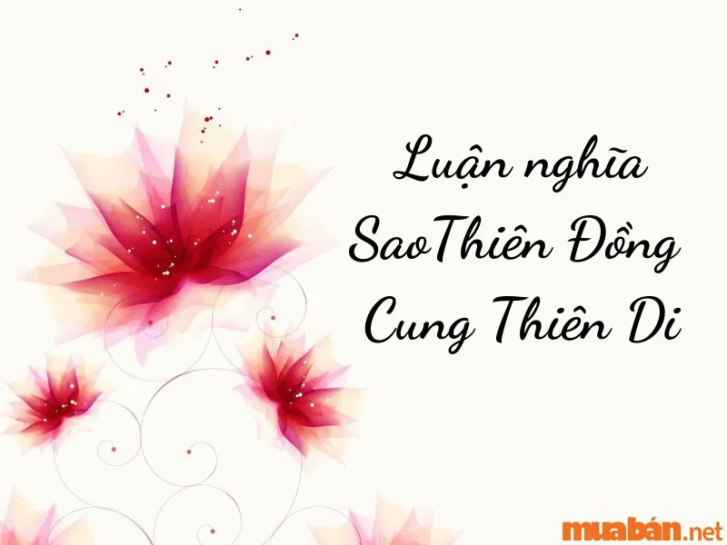 Giải Mã Tử Vi Sao Thiên Đồng và Ý Nghĩa Tại các Cung Mệnh