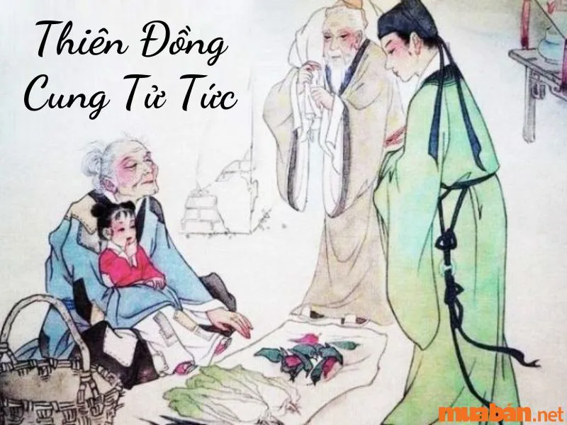 Giải Mã Tử Vi Sao Thiên Đồng và Ý Nghĩa Tại các Cung Mệnh