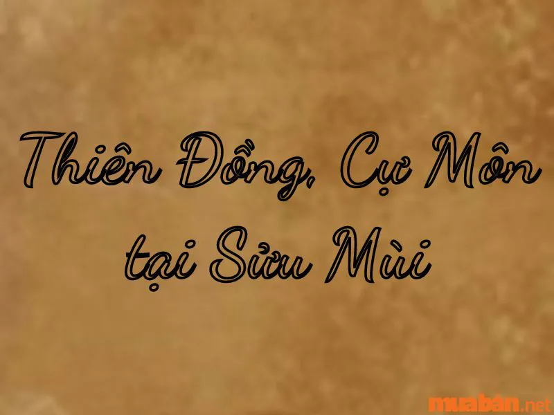 Giải Mã Tử Vi Sao Thiên Đồng và Ý Nghĩa Tại các Cung Mệnh