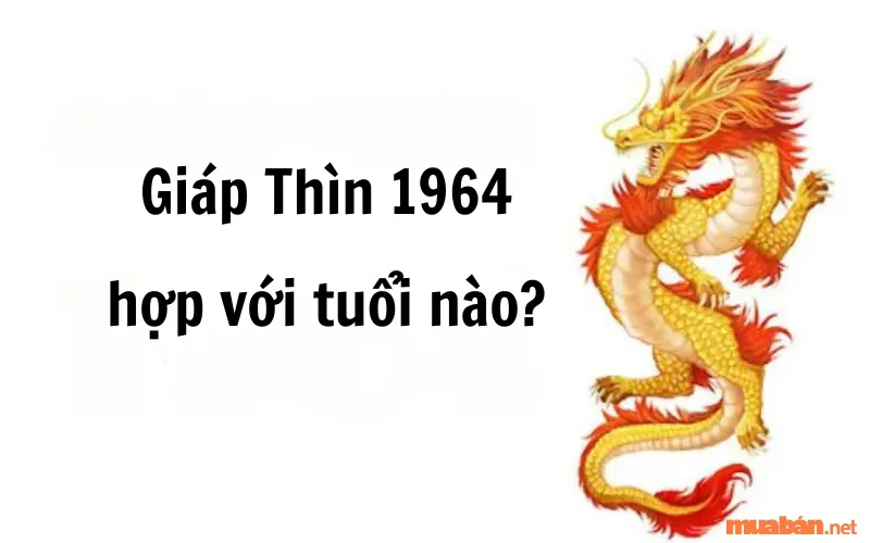 Giáp Thìn Sinh Năm 1964 Mệnh Gì, Hợp Tuổi Gì, Hướng Nào?