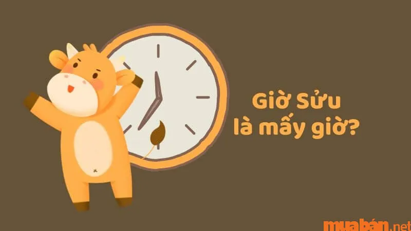 Giờ Sửu là mấy giờ? Người sinh vào giờ Sửu có vận số sướng hay khổ?