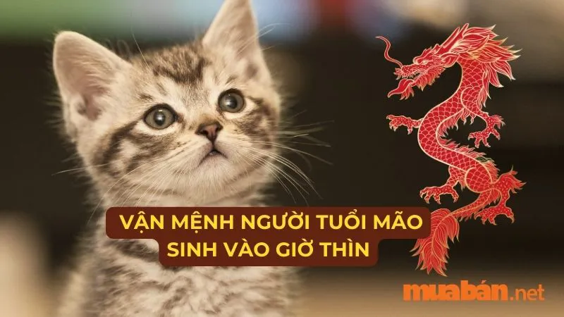 Giờ Thìn là mấy giờ? Luận giải vận mệnh của người sinh giờ Thìn