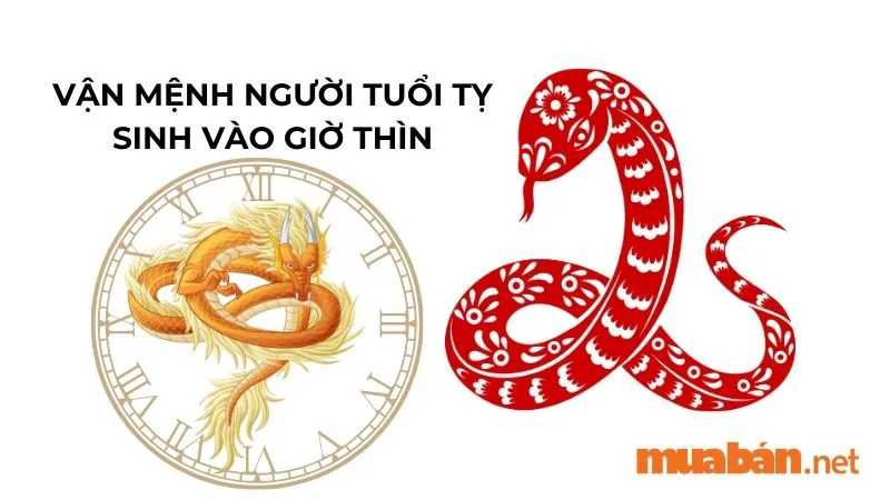 Giờ Thìn là mấy giờ? Luận giải vận mệnh của người sinh giờ Thìn