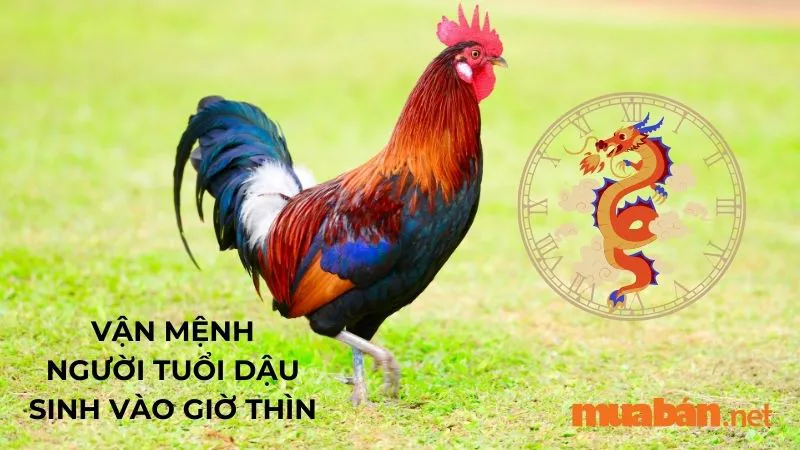 Giờ Thìn là mấy giờ? Luận giải vận mệnh của người sinh giờ Thìn