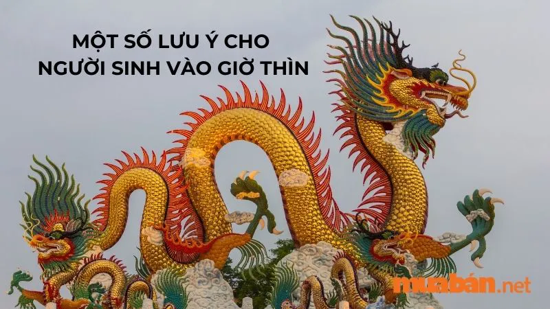 Giờ Thìn là mấy giờ? Luận giải vận mệnh của người sinh giờ Thìn