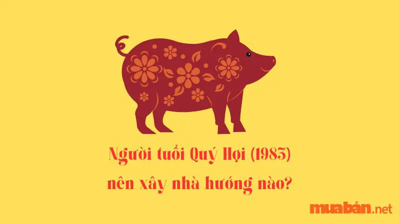 Gợi Ý Chọn Hướng Nhà Chuẩn Phong Thuỷ Cho Tuổi Quý Hợi 1983