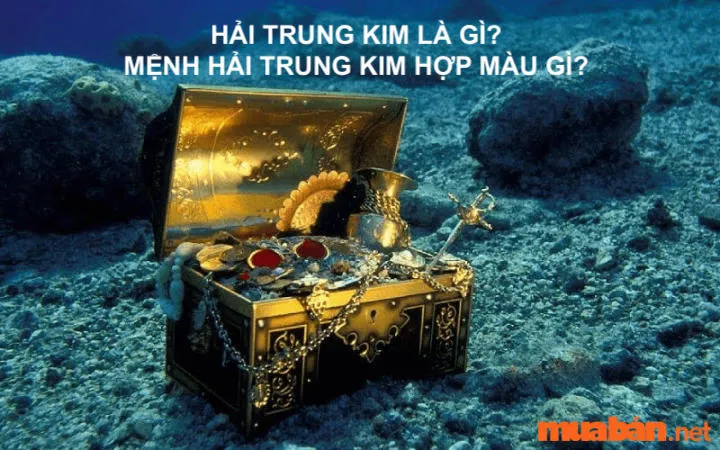 Hải Trung Kim Là Gì? Mệnh Hải Trung Kim Hợp Màu Gì? Mệnh Gì? Hướng Nào?