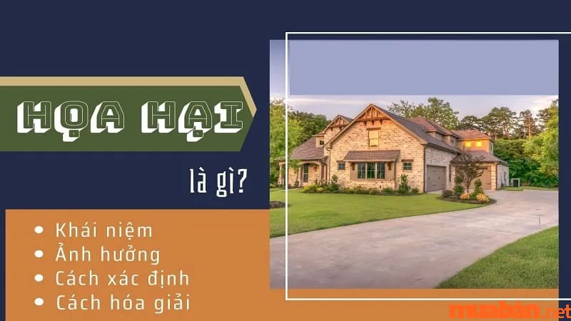 Họa Hại Là Gì? Ảnh Hưởng Của Họa Hại Trong Phong Thủy, Hôn Nhân Và Cách Hóa Giải