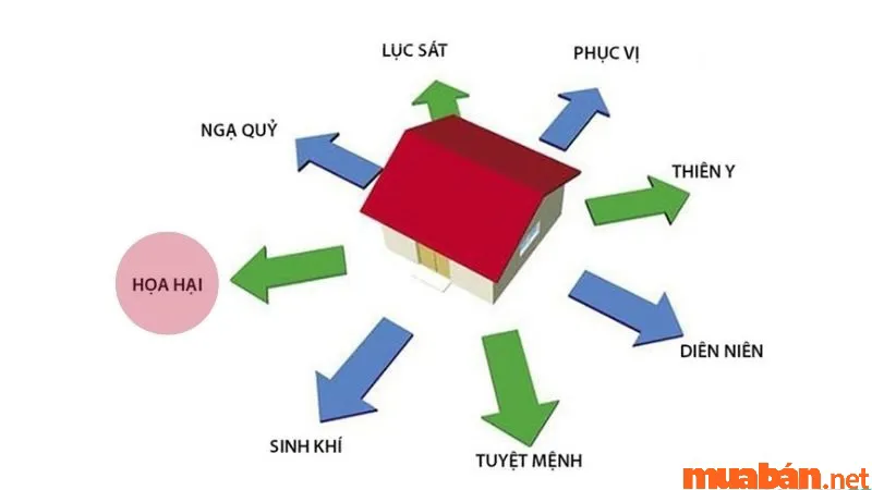 Họa Hại Là Gì? Ảnh Hưởng Của Họa Hại Trong Phong Thủy, Hôn Nhân Và Cách Hóa Giải