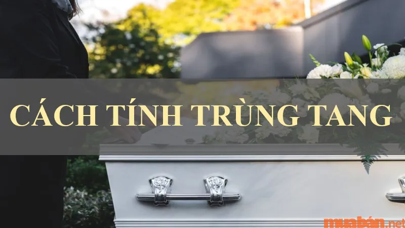 Hướng dẫn cách tính trùng tang chính xác, cực đơn giản