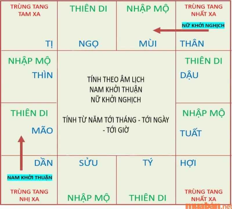 Hướng dẫn cách tính trùng tang chính xác, cực đơn giản