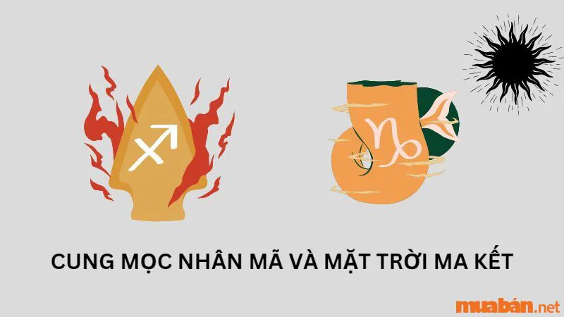 Khám Phá 11 Bí Ẩn Về Cung Mọc Nhân Mã Cùng Những Điều Thú Vị Về Tính Cách