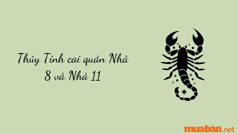 Khám Phá Bí Ẩn Cung Mọc Bọ Cạp Và 9 Sự Thật Thú Vị Có Thể Bạn Chưa Biết