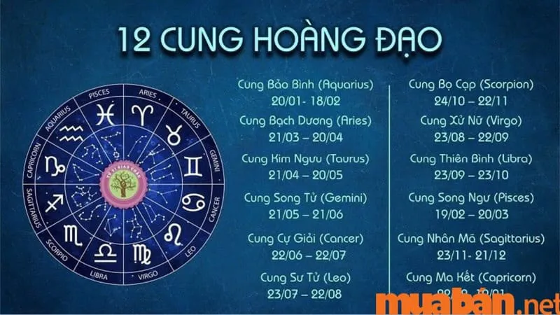 Khám Phá Cung Hoàng Đạo Nào Giàu Nhất Trong 12 Cung