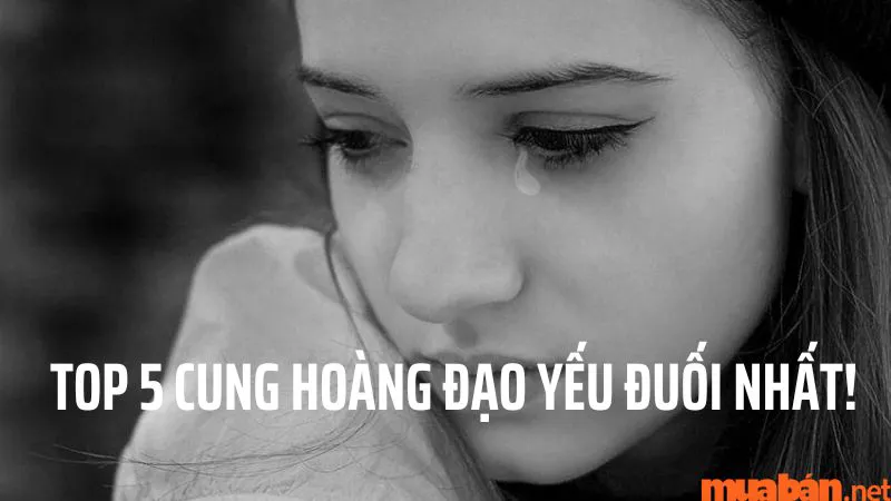 Khám phá cung hoàng đạo nào yếu đuối nhất? Sốc với 5 vị trí đầu