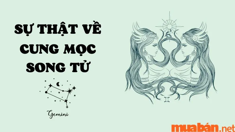 Khám Phá Cung Mọc Song Tử Và 9 Sự Thật Thú Vị Ít Người Biết