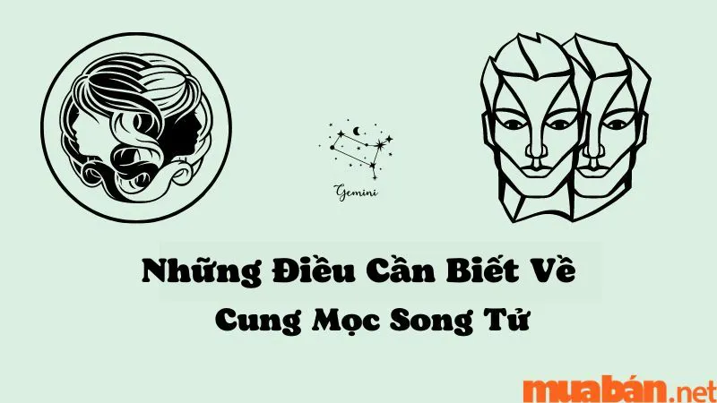 Khám Phá Cung Mọc Song Tử Và 9 Sự Thật Thú Vị Ít Người Biết