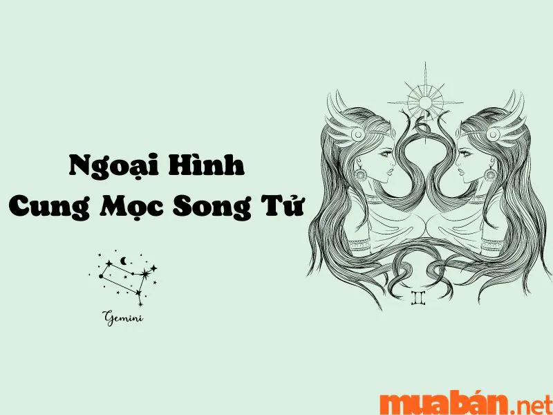 Khám Phá Cung Mọc Song Tử Và 9 Sự Thật Thú Vị Ít Người Biết