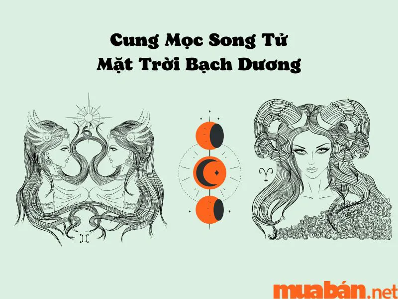 Khám Phá Cung Mọc Song Tử Và 9 Sự Thật Thú Vị Ít Người Biết