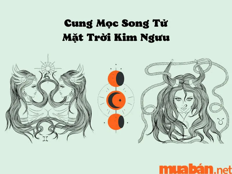 Khám Phá Cung Mọc Song Tử Và 9 Sự Thật Thú Vị Ít Người Biết