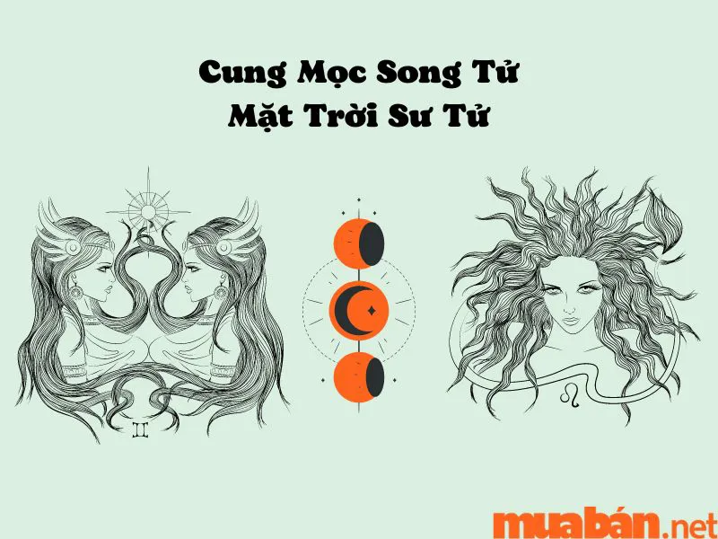 Khám Phá Cung Mọc Song Tử Và 9 Sự Thật Thú Vị Ít Người Biết