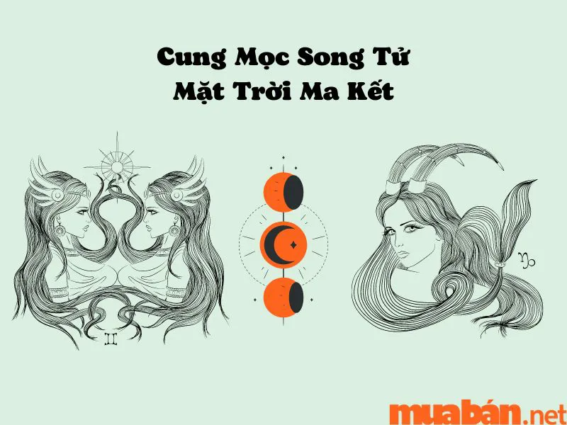 Khám Phá Cung Mọc Song Tử Và 9 Sự Thật Thú Vị Ít Người Biết