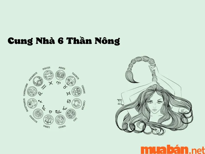 Khám Phá Cung Mọc Song Tử Và 9 Sự Thật Thú Vị Ít Người Biết