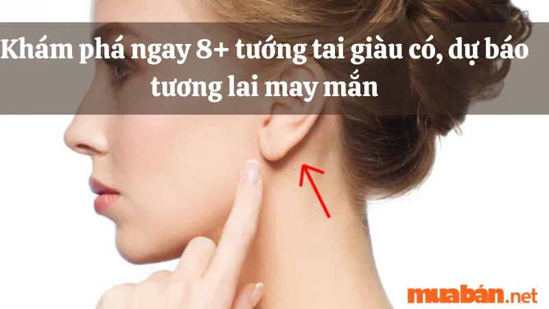 Khám phá ngay 8 tướng tai giàu có, dự báo tương lai may mắn