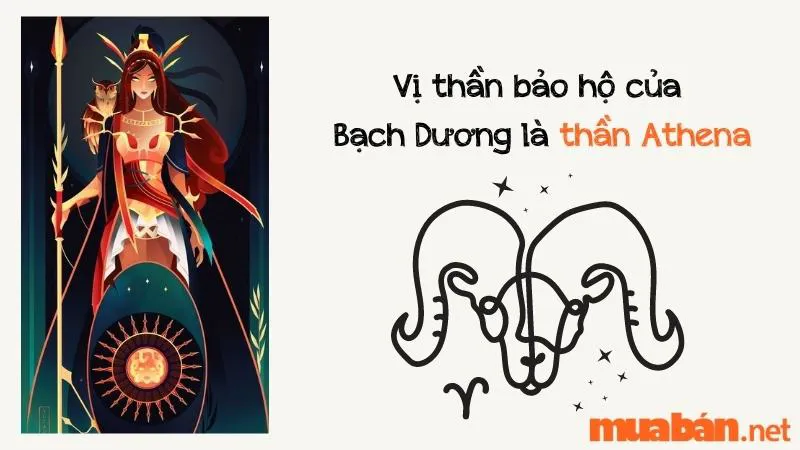 Khám Phá Ngày Sinh 12 Cung Hoàng Đạo Theo Thiên Văn Học Cổ Đại