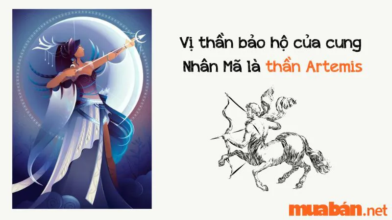 Khám Phá Ngày Sinh 12 Cung Hoàng Đạo Theo Thiên Văn Học Cổ Đại