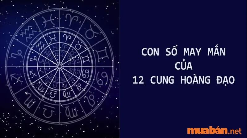 Khám phá những con số may mắn của 12 cung hoàng đạo giúp thu hút tài vận