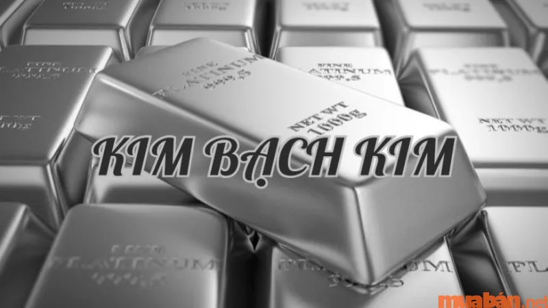 Kim Bạch Kim là gì? Năm sinh, vận mệnh và hợp mệnh gì?