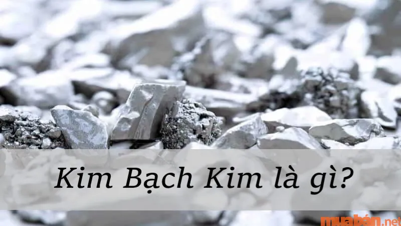 Kim Bạch Kim là gì? Năm sinh, vận mệnh và hợp mệnh gì?