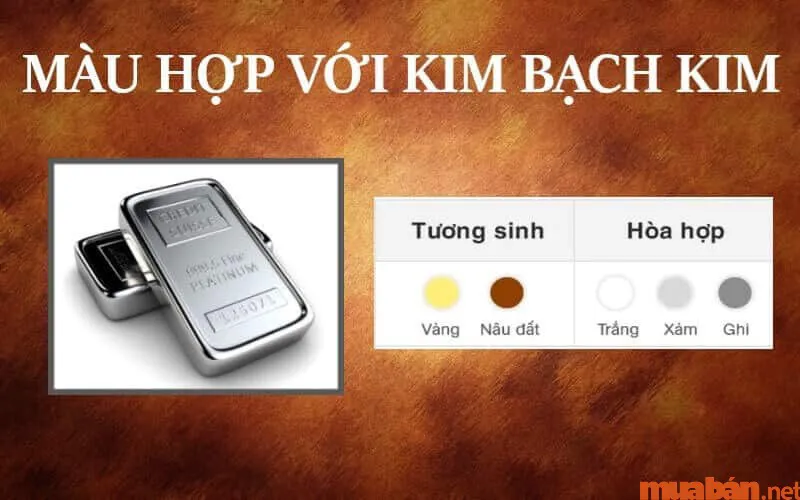 Kim Bạch Kim là gì? Năm sinh, vận mệnh và hợp mệnh gì?