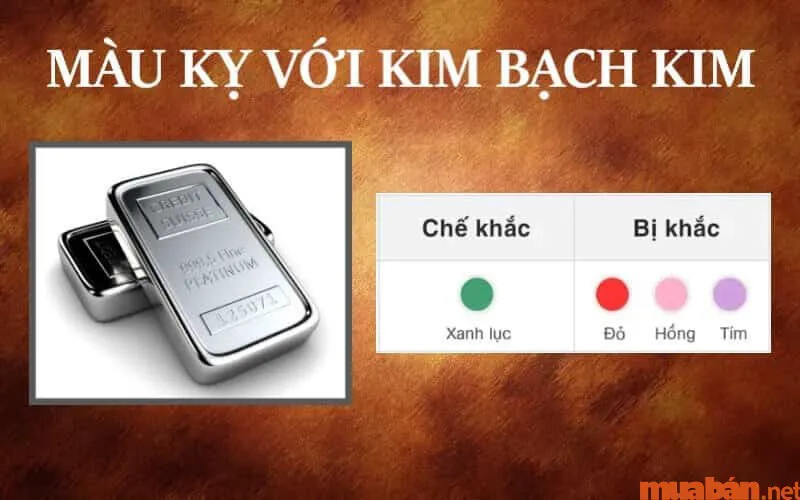 Kim Bạch Kim là gì? Năm sinh, vận mệnh và hợp mệnh gì?