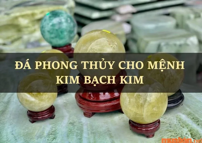 Kim Bạch Kim là gì? Năm sinh, vận mệnh và hợp mệnh gì?