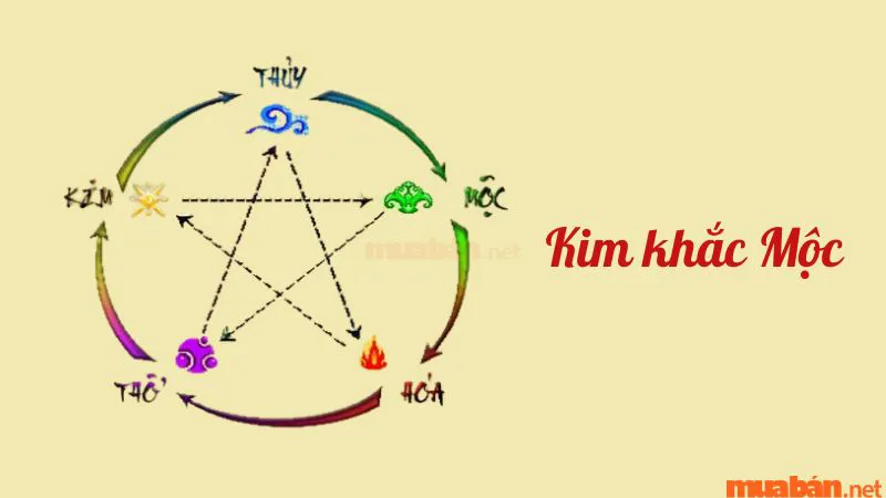 Kim khắc Mộc là gì? Những cách hóa giải Kim khắc Mộc cực linh nghiệm