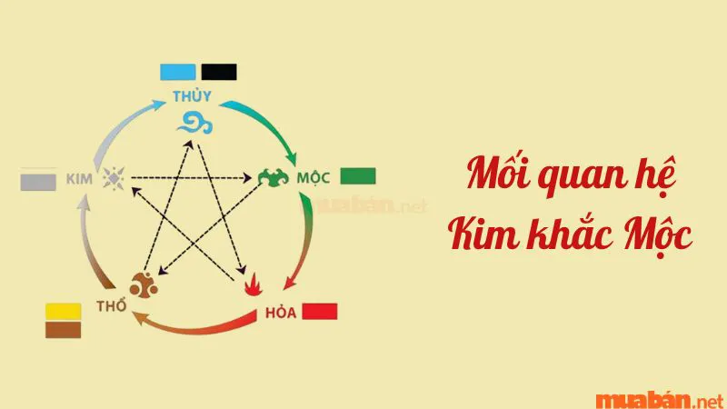 Kim khắc Mộc là gì? Những cách hóa giải Kim khắc Mộc cực linh nghiệm