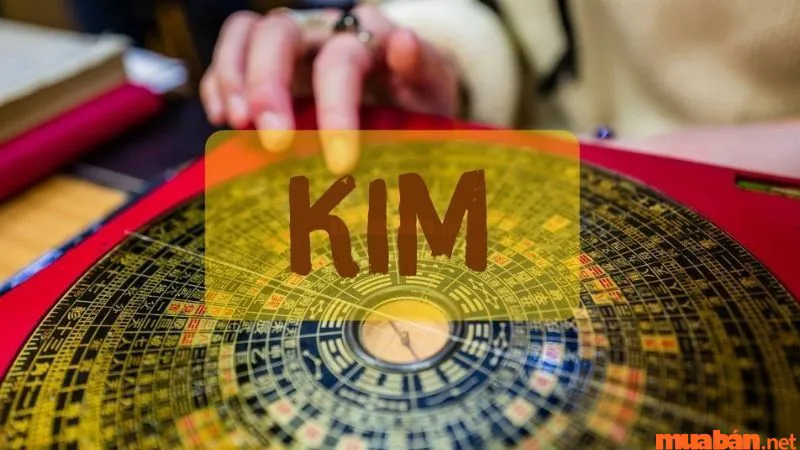 Kim khắc Mộc là gì? Những cách hóa giải Kim khắc Mộc cực linh nghiệm